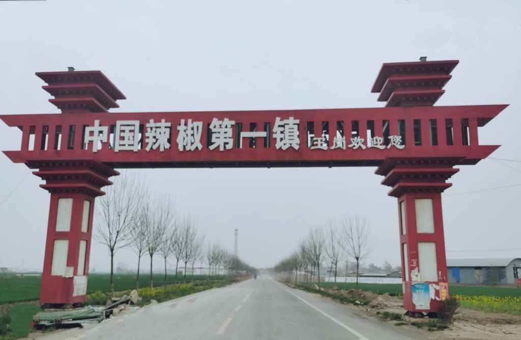 河南临颍县辣椒产业园